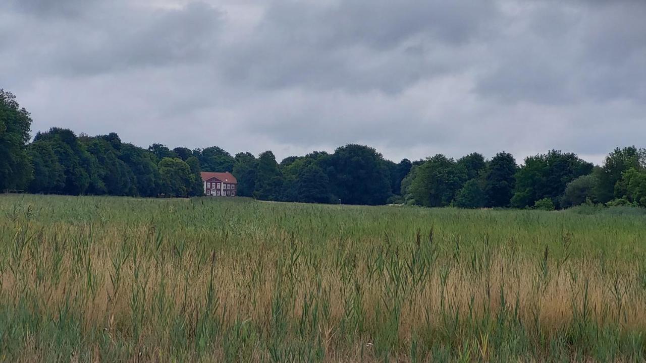 Ferienwohnung Am Freitagsbach Celle Bagian luar foto